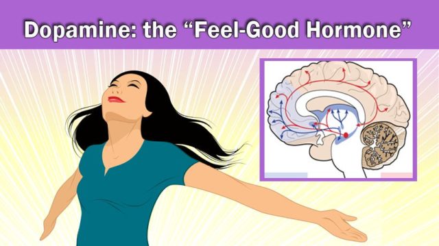 9 Ways To Boost Your Dopamine The “feel Good Hormone” Nature Knows Nootropics 7641